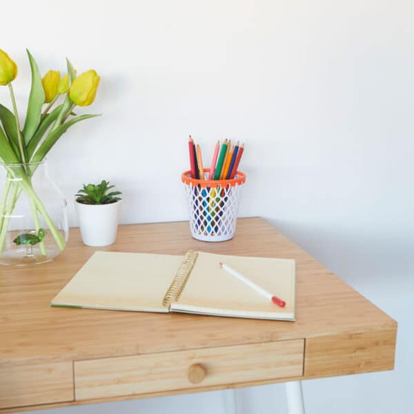 Basketball Hoop Stationary Tidy Pot