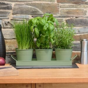 set of 3 sage green metal herb/plant pots with drip tray