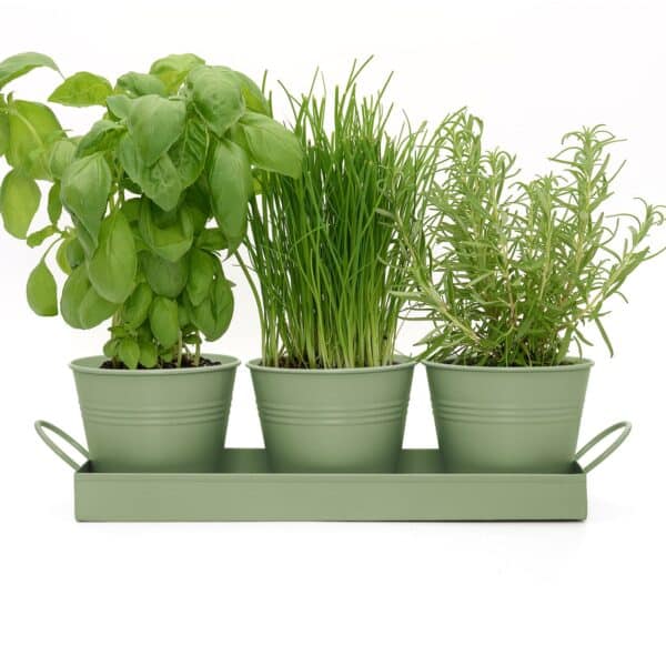 set of 3 sage green metal herb/plant pots with drip tray