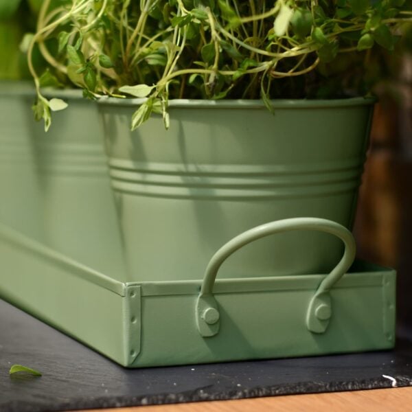 set of 3 sage green metal herb/plant pots with drip tray