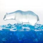 Polar Bear in a Stemless Glass Tumbler (600ml) Bar Bespoke
