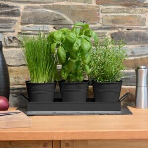 Set of 3 Indoor Metal Plant Herb Pots and Tray (Matt Black)
