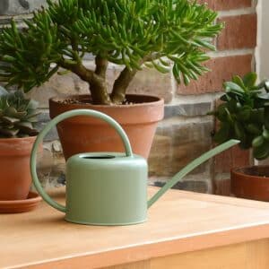 Galvanised Metal Indoor Watering Can (Small 1.1 Litre) (Sage Green)