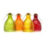 Glass Wasp Trap Catcher – Ribbed “Honey Pot” Design
