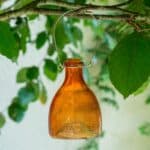 Orange Glass Wasp Trap Catcher – Ribbed “Honey Pot” Design
