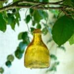 Yellow Glass Wasp Trap Catcher – Ribbed “Honey Pot” Design