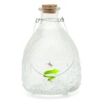 Extra-Large Glass Wasp Trap Catcher with Metal Hanger (35cm)