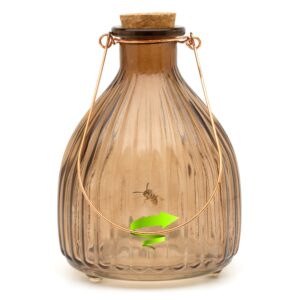 Clear Large Glass Wasp Trap Catcher Bottle – Non-Toxic (17.8 cm)