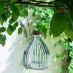 Clear Large Glass Wasp Trap Catcher Bottle – Non-Toxic (17.8 cm)