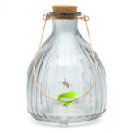 Clear Large Glass Wasp Trap Catcher Bottle – Non-Toxic (17.8 cm)