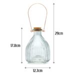 Clear Large Glass Wasp Trap Catcher Bottle – Non-Toxic (17.8 cm)