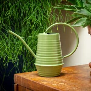 Olive Green Indoor Watering Can Long Spout Houseplants (1.1 Litre)