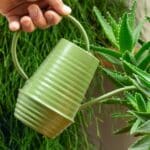 Olive Green Indoor Watering Can Long Spout Houseplants (1.1 Litre)