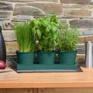 Set of 3 Indoor Metal Plant Herb Pots and Tray (Dark Green)