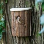 Easy Access Bird House (3.2cm Hole) Wood Nest Box / Hinged Lid