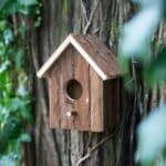 Starling / Sparrow Bird House (4.5cm Hole) Wood Garden Nest Box