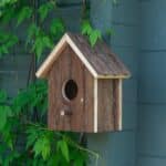 Starling / Sparrow Bird House (4.5cm Hole) Wood Garden Nest Box