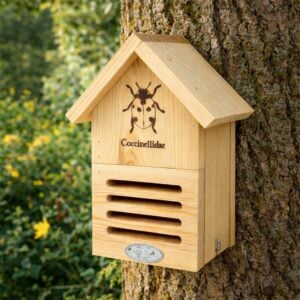 Wooden Ladybird House for Garden Pinewood Bug Shelter