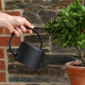 Galvanised Metal Indoor Watering Can (Small 1.1 Litre) (Black)