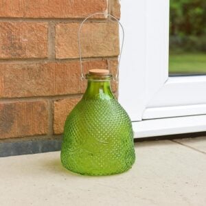 Extra Large Hobnail Glass Wasp Trap for Garden (Green)